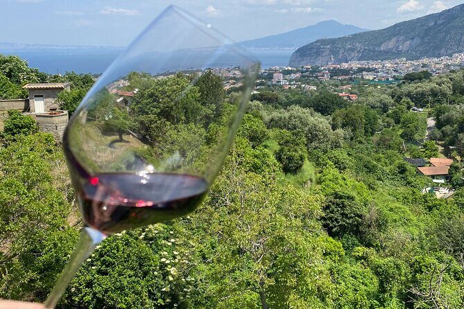 5 Wine Tastings with Typical Products in Sorrento Coast - FAQ