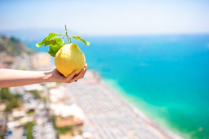 6-hour Private Tour, from Salerno to Pompeii, Ravello and Amalfi - Ravello’s gardens and the view payoff