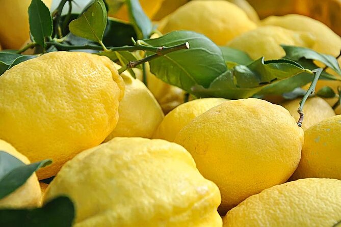 Amalfi Coast - Maiori: Path of Lemons Tour with Tasting - The tasting: Sfusato lemon products and what you should look forward to