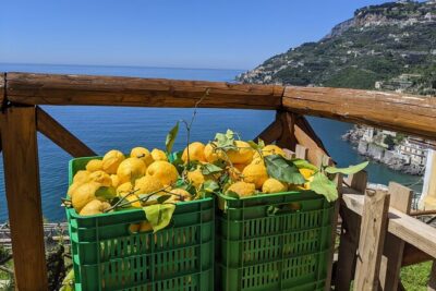 Amalfi Coast - Maiori: Path of Lemons Tour with Tasting - Sentiero dei Limoni: steps, groves, and the best photo rhythm