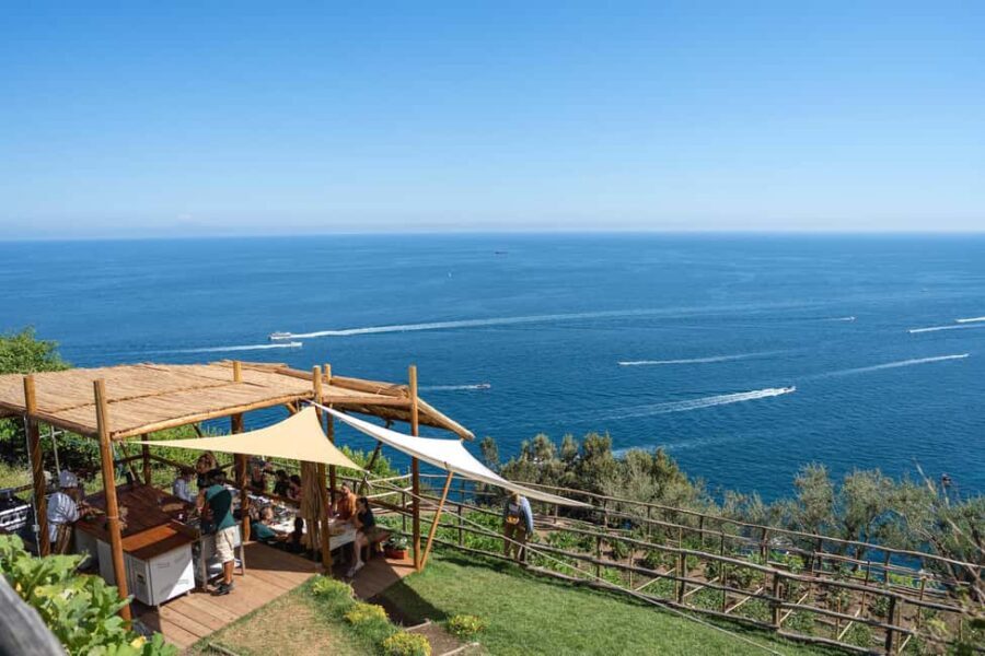 Amalfi Coast: Pizza & Mozzarella Class with Farmhouse visit - Terraced Lemon Grove and Vegetable Beds: where your ingredients come from