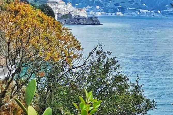 Amalfi Coast Private Tour from Sorrento: Exclusive Mercedes Van - Ravello: the high perch and the villa gardens