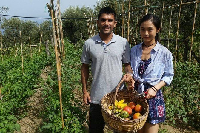 Amalfi Coast & Sorrento Cooking Class School at Farmhouse - What you cook: seasonal starter, homemade pasta, fish or meat, dessert
