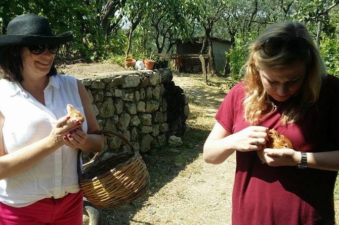 Amalfi Coast & Sorrento Cooking Class School at Farmhouse - Getting there from Sorrento (and the Positano question)
