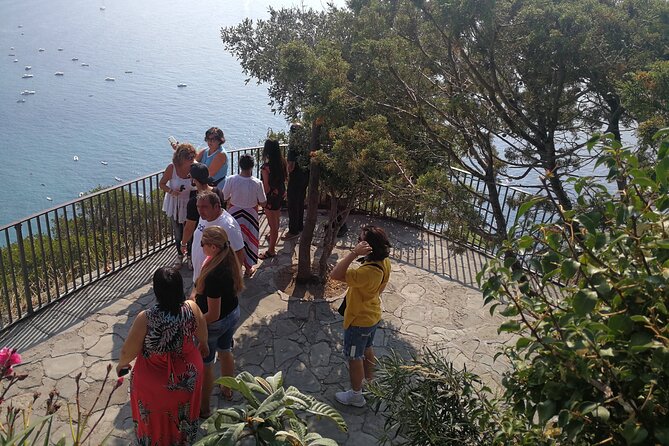 Amalfi Coast Tour with Pompeii, Sorrento and Positano. - Transport, Timing, and Comfort on the Amalfi Roads