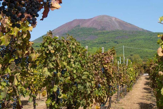 Amalfi Coast with Wine Tasting - Private Driving Tour from Rome - A Private Amalfi Coast Day That Starts With Time Saving