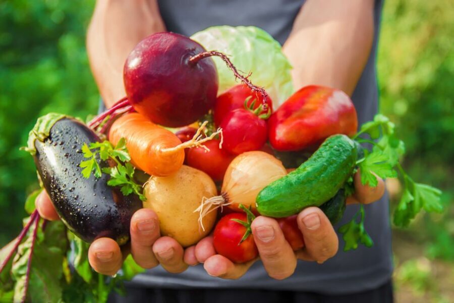 Amalfi: Cooking Class and Farmhouse Visit With Meal - The menu: a four-course meal built from Amalfi produce