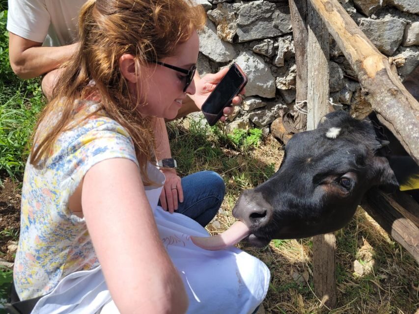 Amalfi: Make tagliatelle, mozzarella and tiramisù - Starting at the farm with Valentino and his family