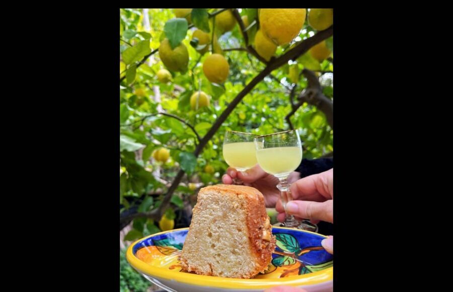 Amalfi Organic Lemon Tour & Tasting in the Historical Garden - The historical side: documents, preservation, and a farming mindset