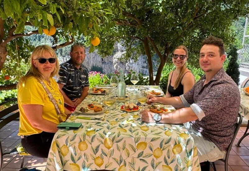 Amalfi Organic Lemon Tour & Wine Tasting + Dinner or Lunch - Price and value at $243.56 for 3 hours