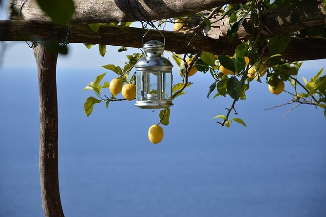 Amalfi Ravello Positano Tour - Key highlights at a glance
