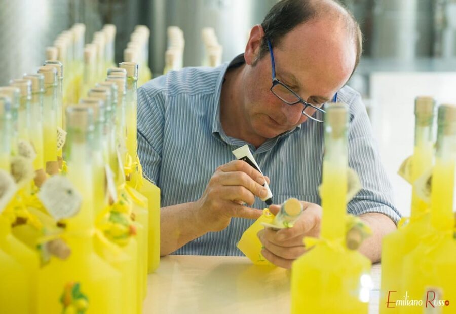 Amalfi: Vertical Lemon Farm Tour, Tastings, and Rural Museum - Key highlights worth planning for