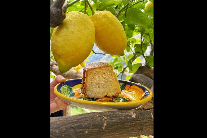 Authentic Amalfi Lemon Tour & Tasting in the Historical Garden - Price and value: why $49.48 can make sense here