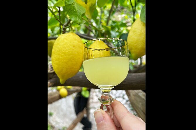Authentic Amalfi Lemon Tour & Tasting in the Historical Garden - Group size, language, and timing: how that helps your day