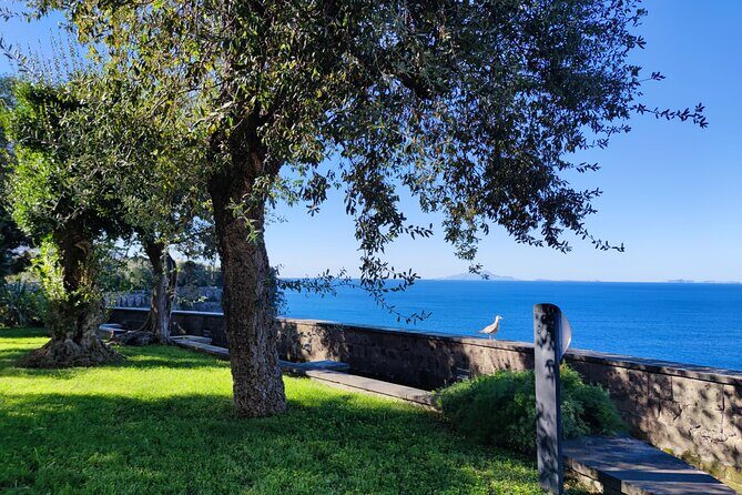 Car Tour admiring Capri and visiting Positano - Marina della Lobra: Fishing-Village Reality at the Edge of the Sea