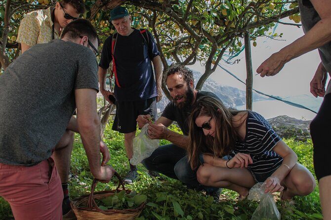 Cooking Class with garden visit - Views, pace, and comfort on Amalfi’s steps
