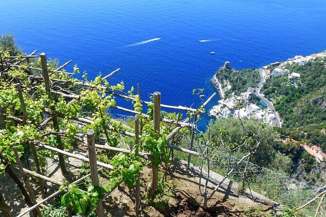 Cooking Class with garden visit - Who should book this cooking class in Praiano