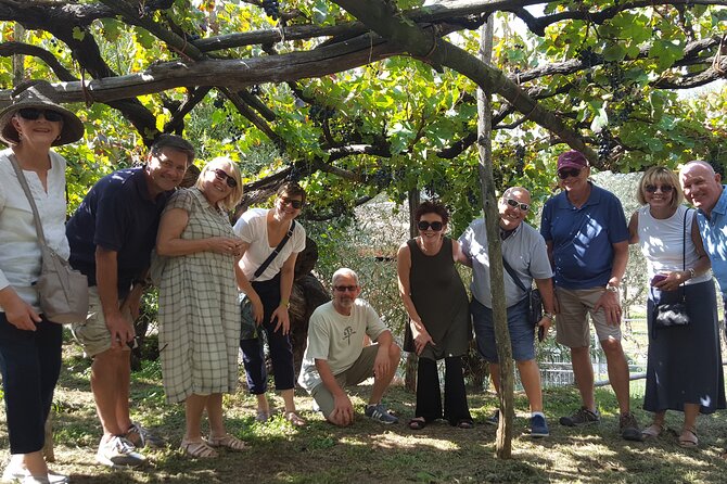 Family or friends Transportation Service for the Experiences - What this Amalfi wine-tour transfer really is