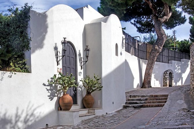 From Amalfi Coast: Capri & Anacapri guided tour by sea & by land - Key things I’d circle before you book