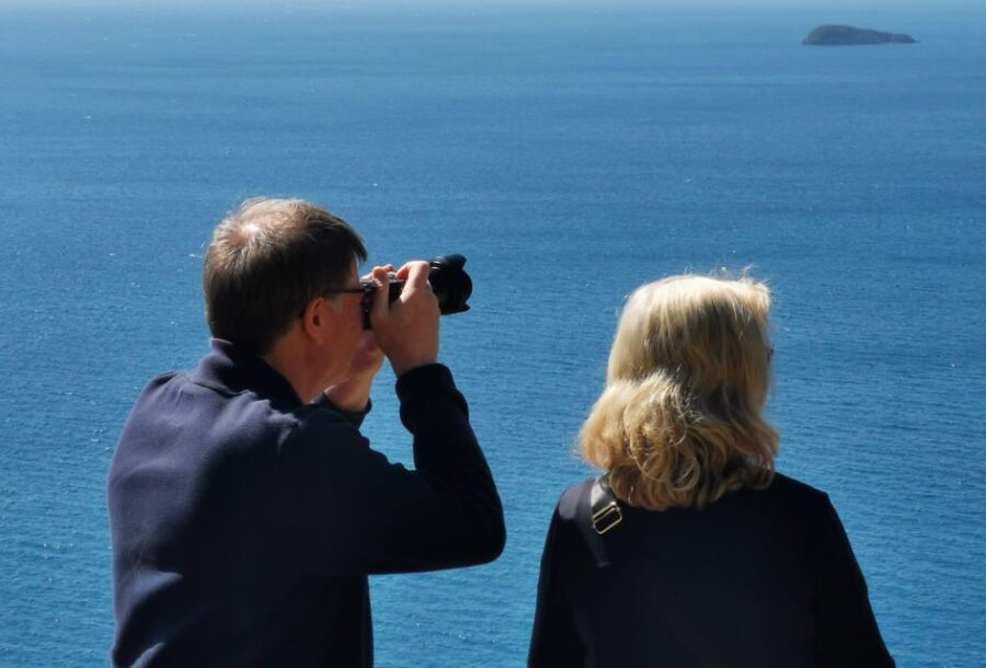 From Naples: Private Tour to Pompeii, Sorrento, and Positano - Positano’s Vertical Streets and Free-Time Wandering