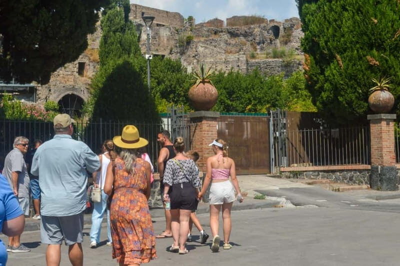From Naples/Salerno: Pompeii, Sorrento and Amalfi Coast Tour - Getting there from Naples or Salerno: comfortable ride, useful commentary