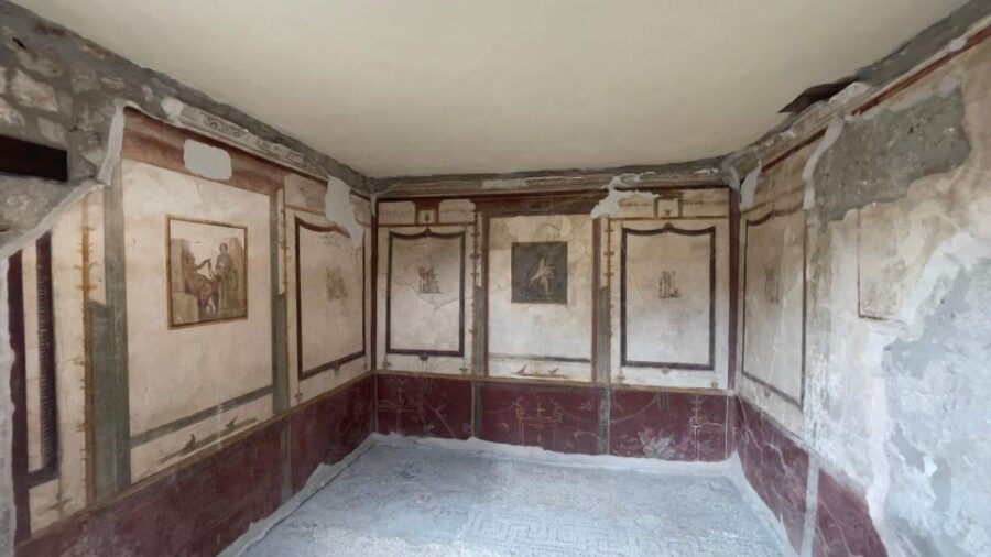 From Positano: Pompeii Guided Tour with Skip the Line - Skip-the-Line Entry Through a Separate Entrance