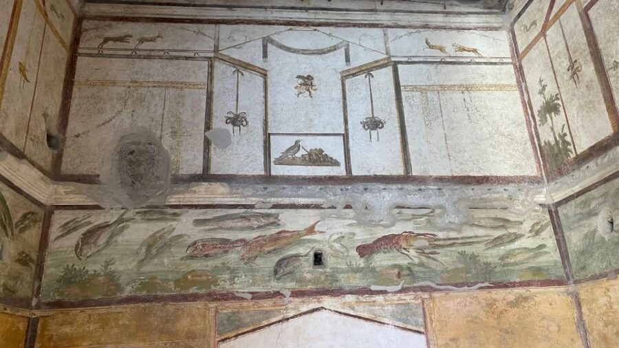 From Positano: Pompeii, Vesuvius, & Wine Tasting with Lunch - Skip-the-Line Pompeii: Using a Guided 2 Hours Like a Pro