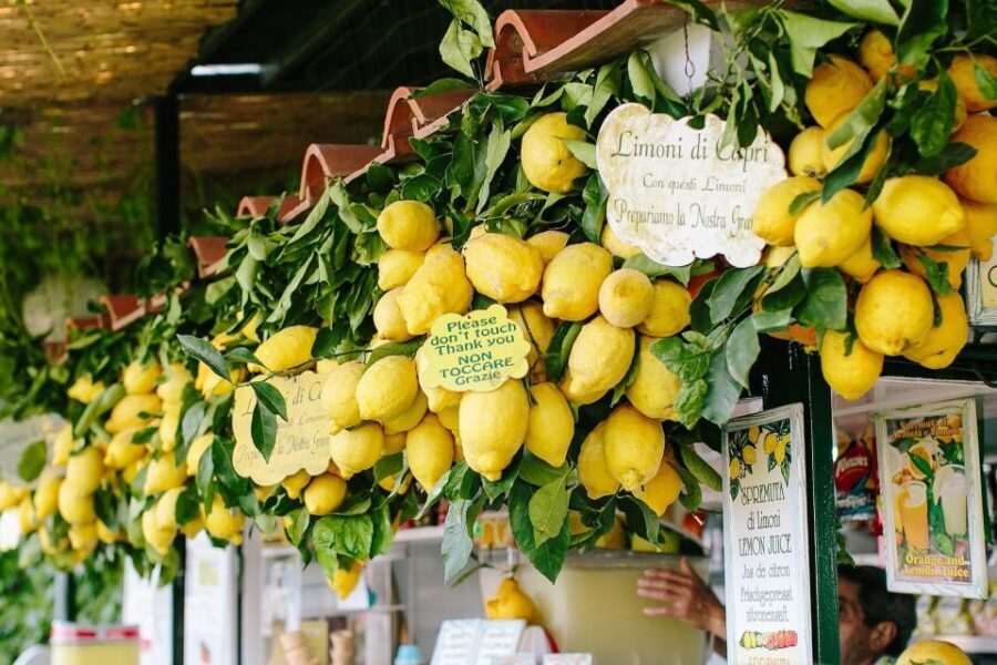 From Positano: Sorrento Coast & Capri Full-Day Trip by Boat - What to bring (and what to buy) for a smooth day on the water