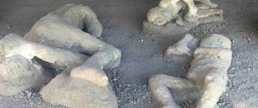 From Rome: Amalfi Coast and Pompeii, Full Day Private Tour - Price and value: is $505.90 per person worth it?