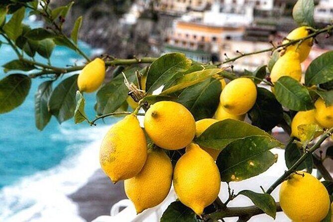 From Rome: Positano and Amalfi Coast Private Tour with Driver - Rome Hotel Pickup to the Amalfi Coast: The Big Win Is Being Taken Care Of