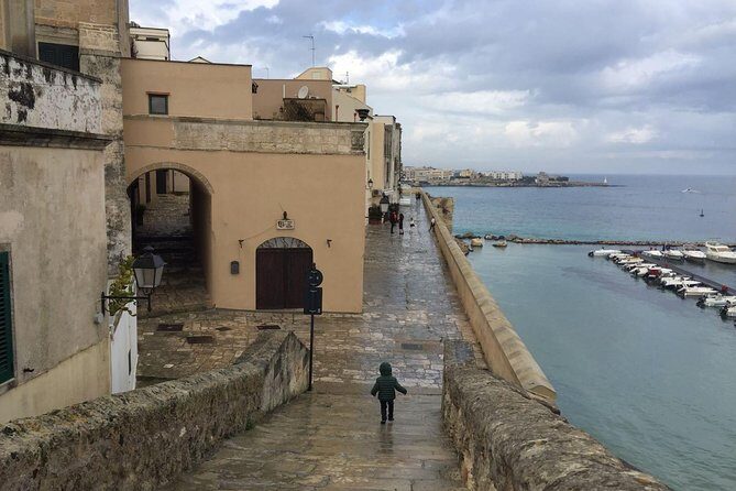 Full-Day Sorrento Positano Pompeii Tour - Who this tour fits best