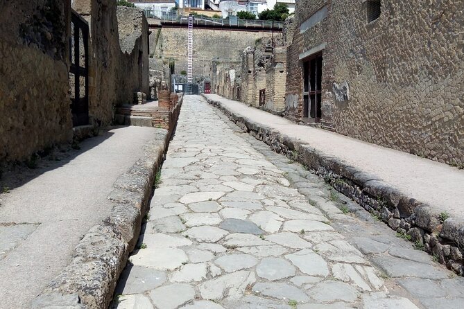 Full Day Tour Pompeii–Sorrento -Positano - Pompeii Archaeological Park: your 2-hour reality check