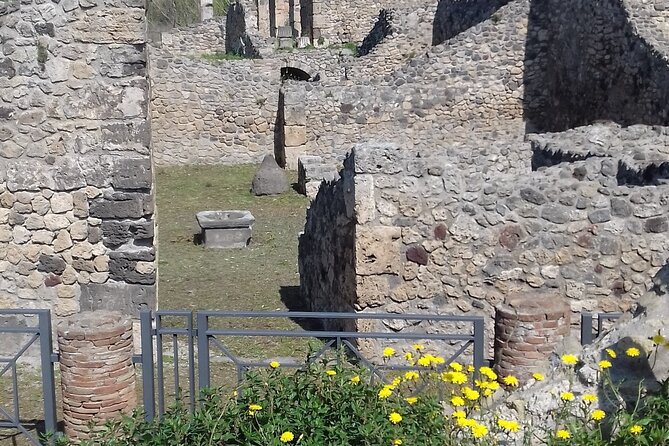 Full Day Tour Pompeii–Sorrento -Positano - The overall value of $342.07 per person
