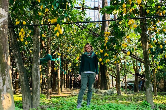 Guided tour of the history and tradition of the Sorrento lemon - Key Things You’ll Like