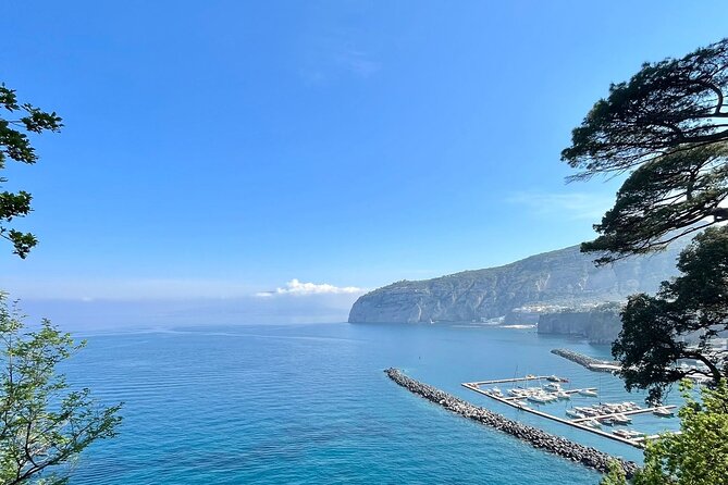 Guided tour of the history and tradition of the Sorrento lemon - Traditional Cultivation Technique: Where the Flavor Comes From