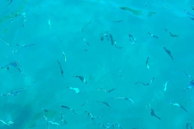 Half-Day Amalfi Coast Boat & Snorkeling Small Group Tour - The swim and snorkel stop: how to make the most of your 30 minutes