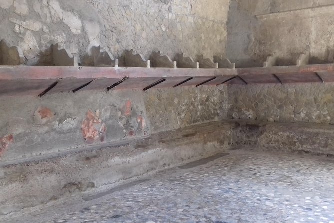 Herculaneum and the Amalfi Coast(Sorrento-Positano) - What’s included in your day (and what you’ll handle yourself)