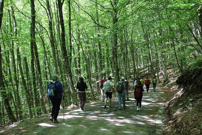 Hiking on Faito Mountain from Sorrento - Why the guide makes the hike better (Enzo Barba’s impact)