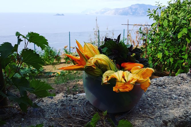 I offer cooking lesson of Amalfi tradition - Homemade wine pairings that feel personal