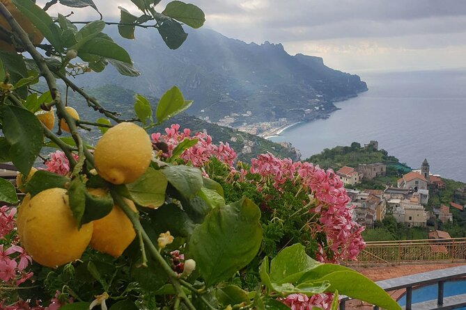 Luxury Tour from Positano to Pompei Ravello Amalfi - Pompeii Archaeological Park: the 79 AD shock, without the stress