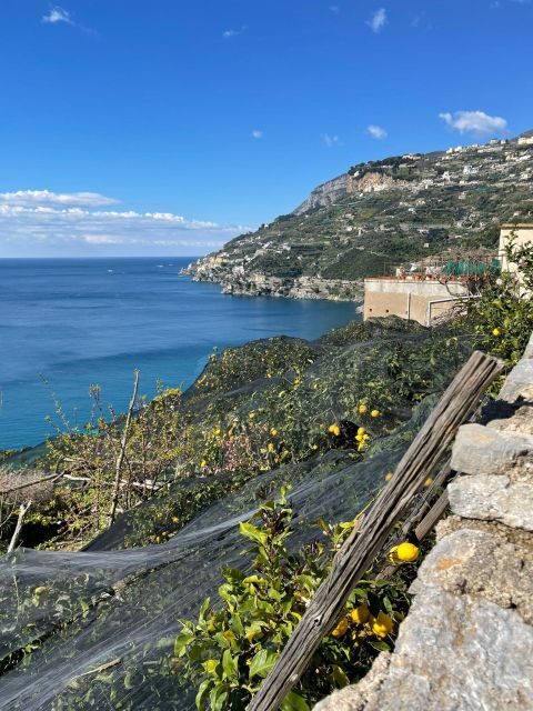 Maiori: Amalfi Coast Path of Lemons Day Trip with Tastings - Getting started in Maiori: meeting point, intro, and what to wear