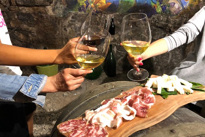Milk the Cow & Make Mozzarella and Gnocchi with Our Family - Who should book this Amalfi farm mozzarella and gnocchi class