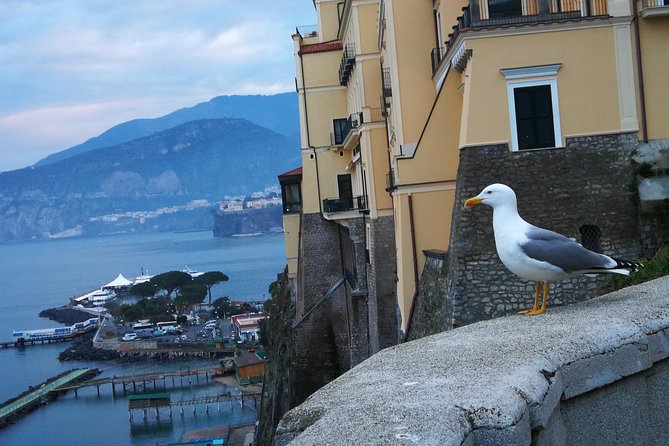 Minivan Tour | Positano Sorrento and Pompeii whit local driver - Price and value: what $308.37 gets you (and what to budget)