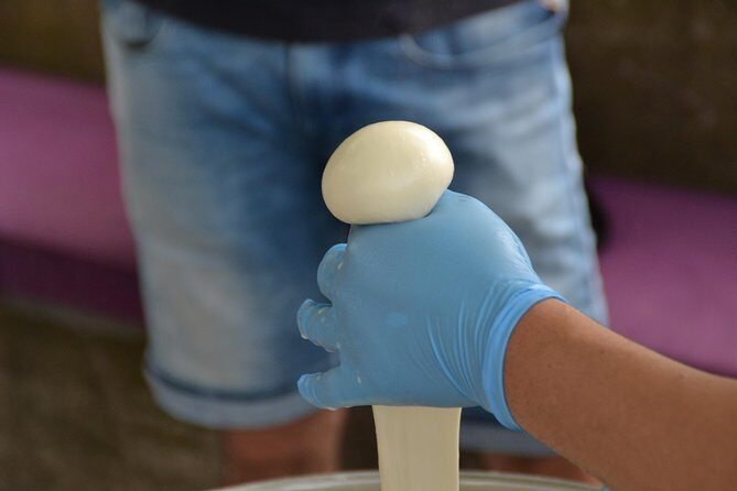 Mozzarella Class or Pizza Class - Getting There: Minivan Pickup and the Coastal Drive to Ravello
