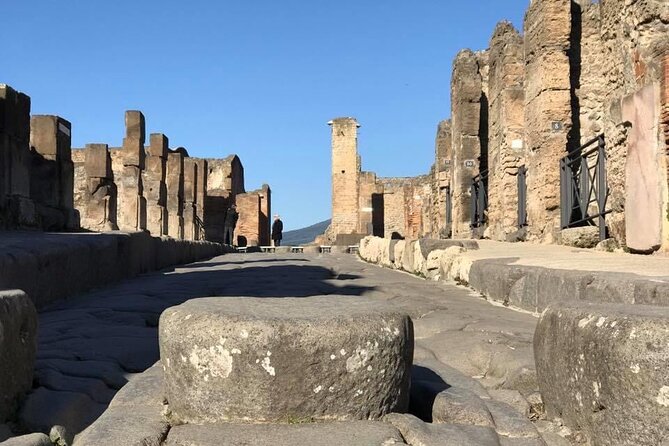 Naples port tour Sorrento and pompeii and overview of positano - Pompeii Archaeological Park: two hours of private, guided ruins