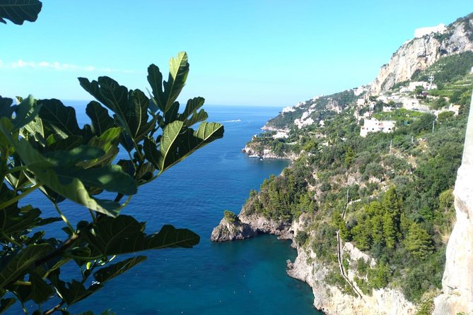 Naples port tour Sorrento and pompeii and overview of positano - Amalfi Coast driving and the Positano photo stop from above