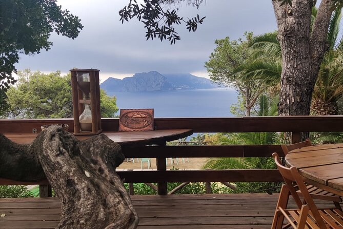 Naples port tour Sorrento and pompeii and overview of positano - Timing: 8 to 9 hours that actually feel doable