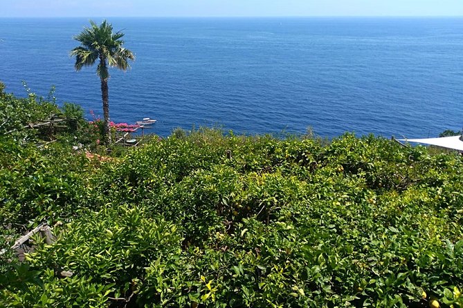 Naples port tour Sorrento and pompeii and overview of positano - Price and value: what you pay for, what you still need to cover