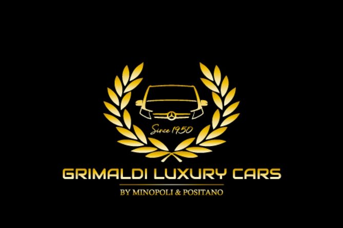 Naples to Sorrento or Positano with stop at Pompeii (or Return) - The drive experience: comfortable, direct, and focused