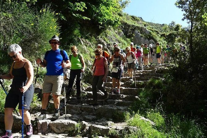 Path of Gods Hike, with Food Experience at Shepherd's Hut - Meet the shepherd and see the animals up close